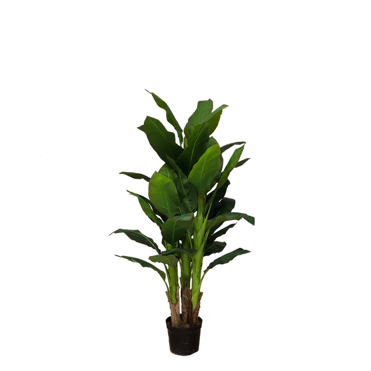 The Seasonal Aisle 160Cm Banana Leaf Plant in Pot Wayfair.co.uk
